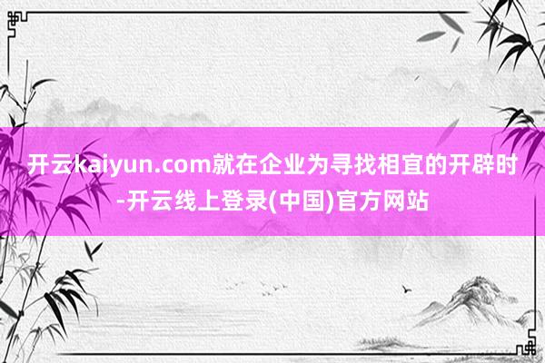开云kaiyun.com就在企业为寻找相宜的开辟时-开云线上登录(中国)官方网站